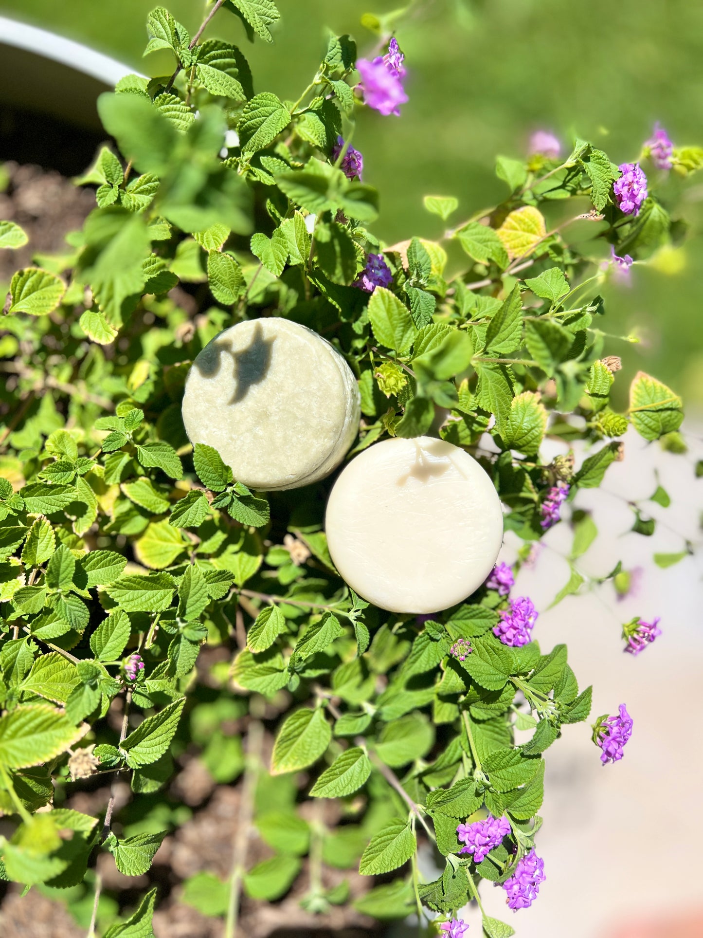 Shampoo & Conditioner Bar Set