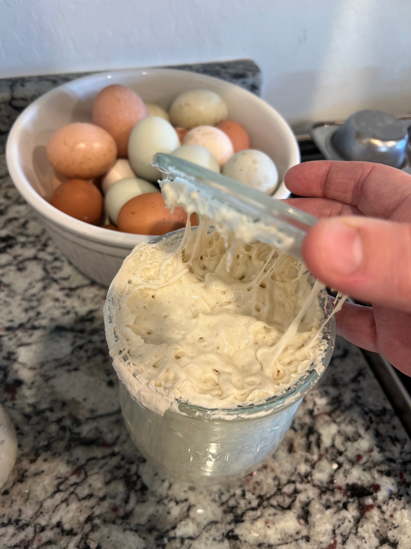 Organic Sourdough Starter - "Bella"