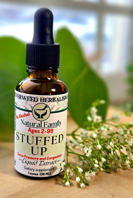Silverweed Herbalism - Stuffed Up